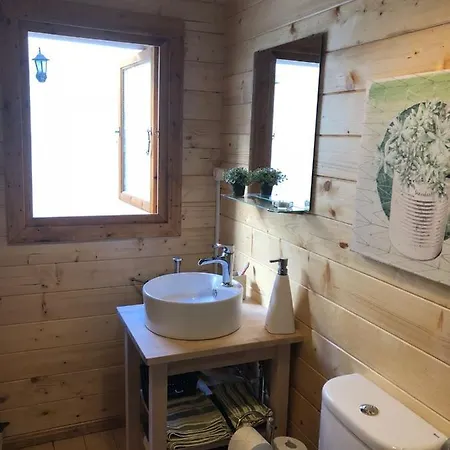 Chalet Small Wooden With Green Roof