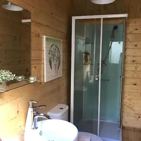 Small Wooden With Green Roof